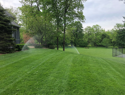 Lush Green Lawn with Sprinklers